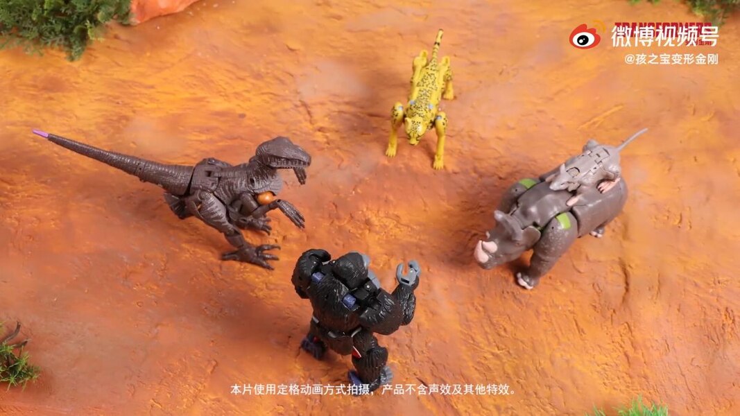 Transformers WFC Kingdom Stop Motion Maximals Vs The Predacons Stop Motion  (1 of 35)
